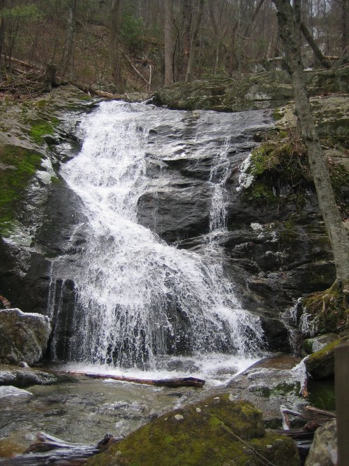 A cascading waterfall flows over rocky terrain, surrounded by lush greenery and trees in a serene forest setting.