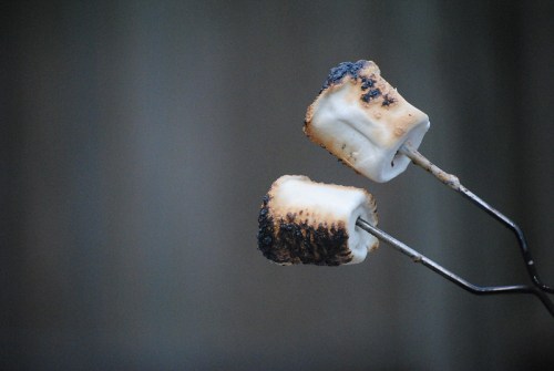 Two toasted marshmallows on metal skewers, one lightly charred and the other more burnt, against a blurred background.
