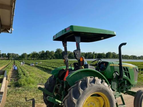 A green tractor parked near a field where people are harvesting crops under a clear blue sky.