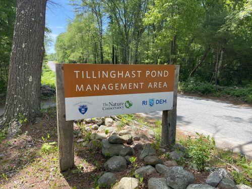 Sign for Tillinghast Pond Management Area, featuring logos of The Nature Conservancy and RI DEM, surrounded by trees.