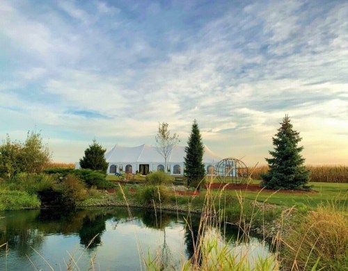 A serene outdoor scene featuring a tent by a pond, surrounded by greenery and trees under a cloudy sky.