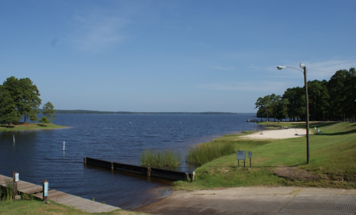 A serene lake view with calm water, green grass, and trees under a clear blue sky. A sandy area is visible on the shore.