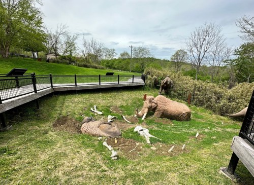 A grassy area with two large elephant sculptures, one lying down and the other digging, surrounded by trees and a walkway.