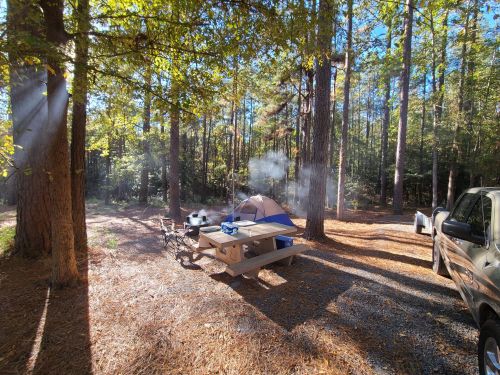 A campsite with a tent, picnic table, and smoke rising from a grill, surrounded by tall trees and sunlight filtering through.
