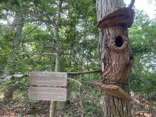 A wooden bird nesting log attached to a tree, with an informational sign about its purpose nearby, surrounded by greenery.