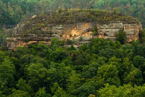 A rocky cliff surrounded by dense green forest, with some trees showing signs of recent damage or fire.