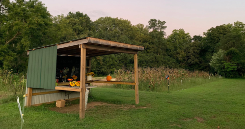 A rustic wooden shelter with a green roof, surrounded by tall grass and trees, featuring sunflowers and a pumpkin on a table.