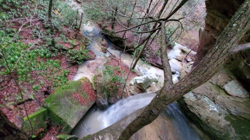 A serene waterfall cascades over rocks, surrounded by lush greenery and trees in a tranquil forest setting.