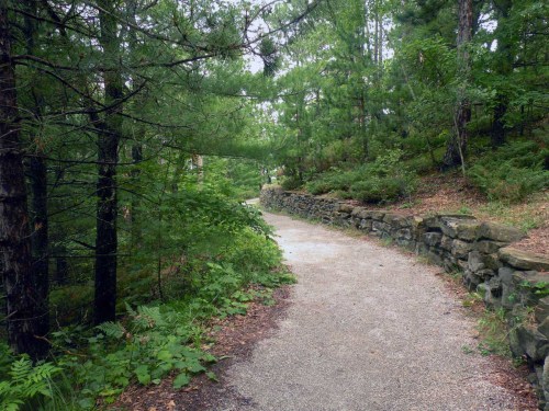 A winding gravel path surrounded by lush green trees and a stone wall, leading into a serene forested area.