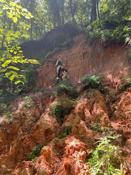 A person stands on a steep, reddish-brown hillside surrounded by lush green foliage and trees.