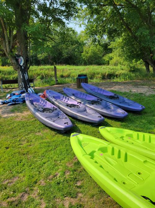 A row of colorful kayaks resting on green grass near a calm waterway, surrounded by trees.