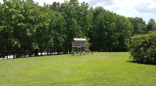 A wooden play structure with a slide sits on a grassy field surrounded by tall trees under a partly cloudy sky.