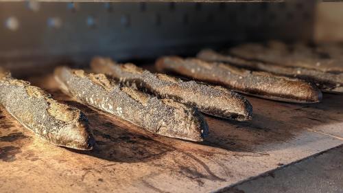 Grilled fish fillets on a cooking surface, showing a charred texture and smoky appearance.