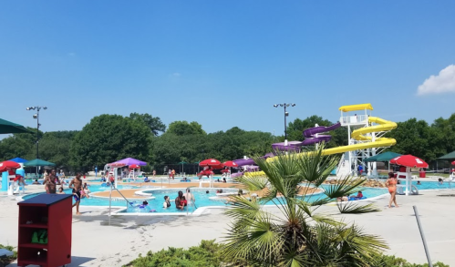 A sunny pool area with water slides, umbrellas, and people enjoying the water on a clear day.