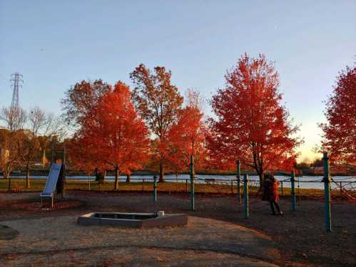 A playground with a slide surrounded by vibrant autumn trees and a calm water view in the background.