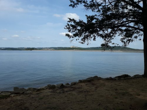 A serene lakeside view with calm water, distant hills, and a tree framing the scene under a blue sky.