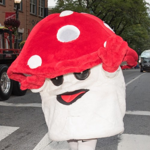 A person in a large, fluffy mushroom costume with a red cap and white body walking down a city street.