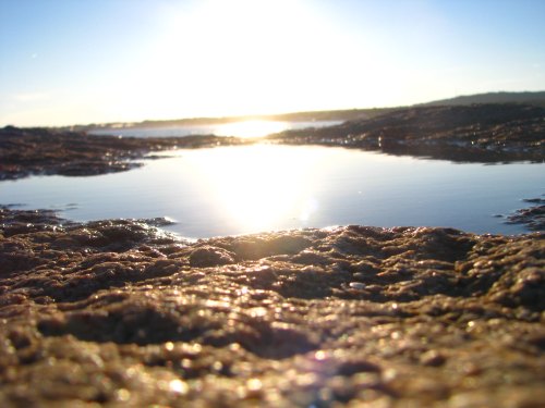 A close-up view of rocky terrain with a reflective pool of water under a bright sun, creating a serene landscape.