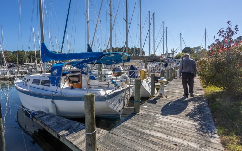 A person walks along a wooden dock beside sailboats in a marina on a clear, sunny day.
