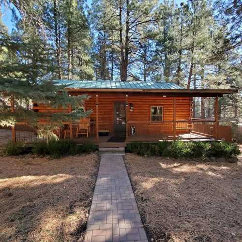 A cozy log cabin surrounded by tall trees, with a stone pathway leading to the entrance.