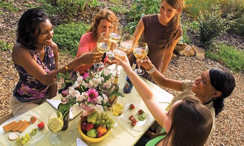 A group of five women toasting with glasses of wine at an outdoor table, surrounded by food and greenery.