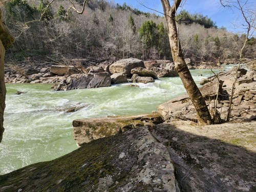 A rocky riverbank with flowing green water, surrounded by trees and a clear blue sky.