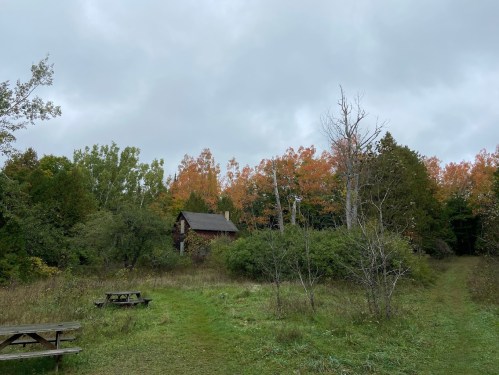 A rustic cabin surrounded by trees with autumn foliage under a cloudy sky, with a grassy path leading to it.