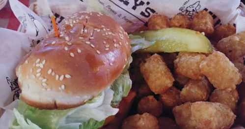 A sesame seed bun burger with lettuce and pickles, served alongside crispy tater tots.