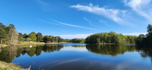 A serene lake surrounded by lush greenery and blue skies, reflecting the landscape on its calm surface.