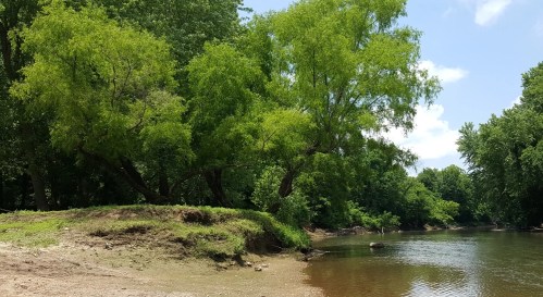 A serene riverbank scene with lush green trees and calm water under a clear blue sky.