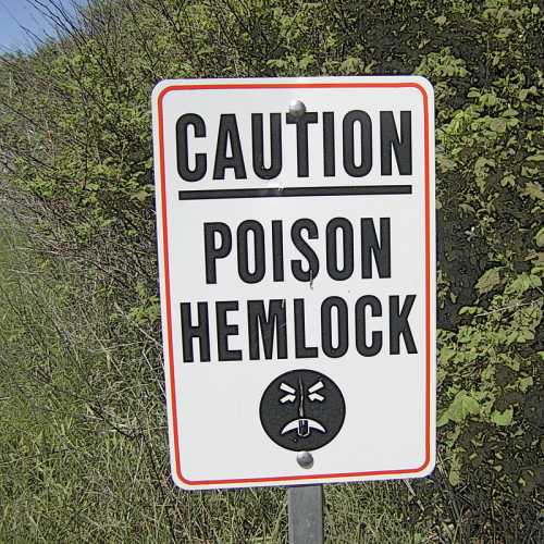 A warning sign reading "Caution: Poison Hemlock" with a frowning face emoji, set against a green background.