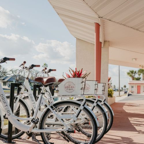 A row of white bicycles parked under a covered area, with plants and a building in the background.