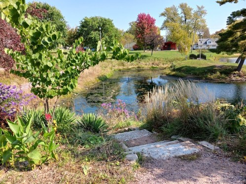 A serene pond surrounded by greenery and colorful trees, with flowers and a pathway leading to the water's edge.