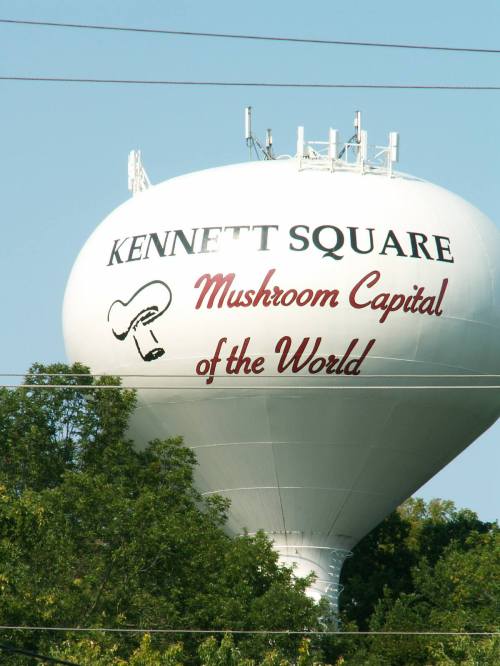 Water tower in Kennett Square, labeled "Mushroom Capital of the World," surrounded by trees.