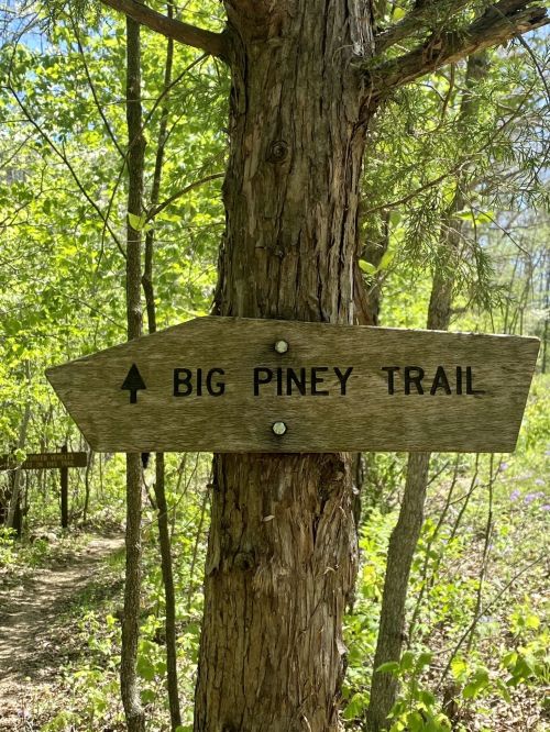 Wooden sign pointing up the trail, labeled "Big Piney Trail," surrounded by lush green foliage.