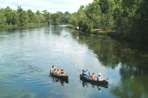 Two canoes with people paddling on a calm river surrounded by lush greenery and trees under a clear blue sky.