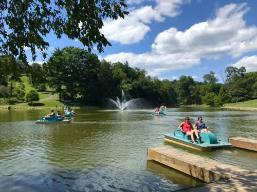 People enjoying pedal boats on a serene lake with a fountain and lush greenery under a blue sky.