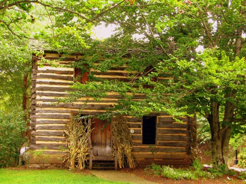 A rustic log cabin surrounded by lush green trees and plants, with a welcoming porch and natural decor.