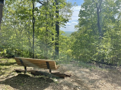 A wooden bench sits on a trail surrounded by lush green trees, overlooking a scenic view under a bright sky.