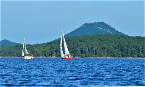 Two sailboats glide across a blue lake, with a green forest and a mountain in the background under a clear sky.