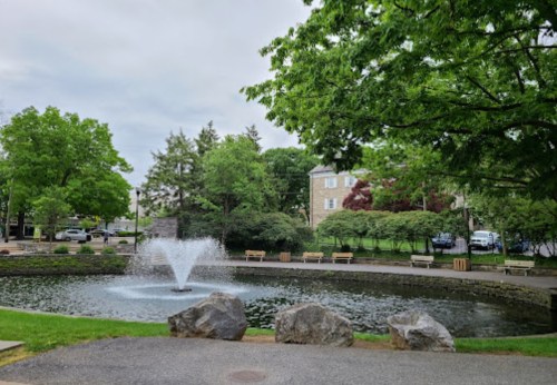 A serene park scene featuring a pond with a fountain, surrounded by greenery and benches.