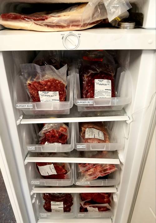A freezer filled with labeled bags of various meats, including burger, fajita, and patties, organized in clear bins.