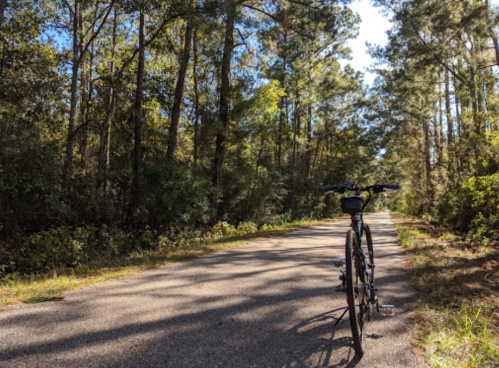 A black bicycle parked on a tree-lined path, surrounded by greenery and sunlight filtering through the leaves.