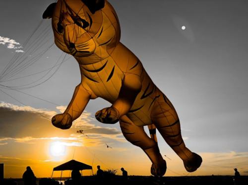 A large orange tiger kite soars against a sunset, with silhouettes of people and a tent below.