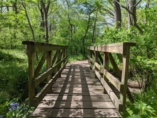 A wooden bridge spans a lush green forest, surrounded by trees and vibrant foliage. Sunlight casts shadows on the path.