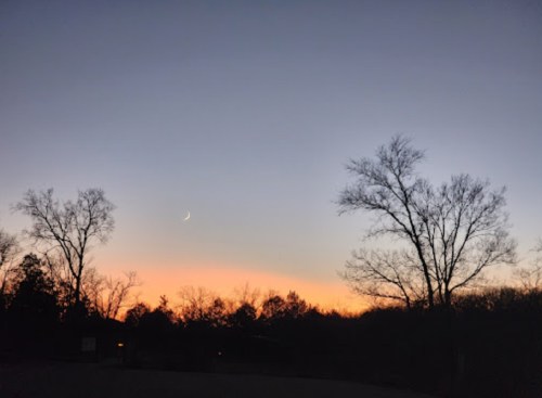 A serene twilight scene with a crescent moon and silhouetted trees against a gradient sky of orange and blue.
