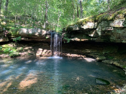 A serene waterfall cascades into a clear pool, surrounded by lush greenery and rocky terrain in a tranquil forest setting.
