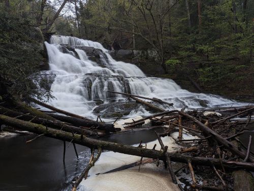 A serene waterfall cascades over rocks, surrounded by lush greenery and fallen branches in a tranquil forest setting.