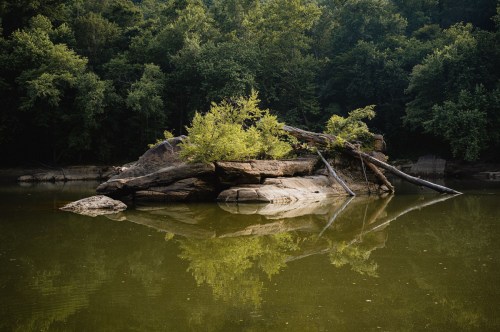 A serene landscape featuring a rocky island with greenery, reflected in calm water surrounded by trees.