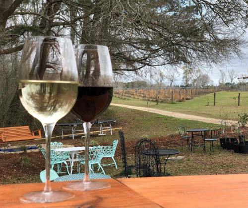 Two wine glasses, one white and one red, in the foreground with a vineyard and outdoor seating in the background.
